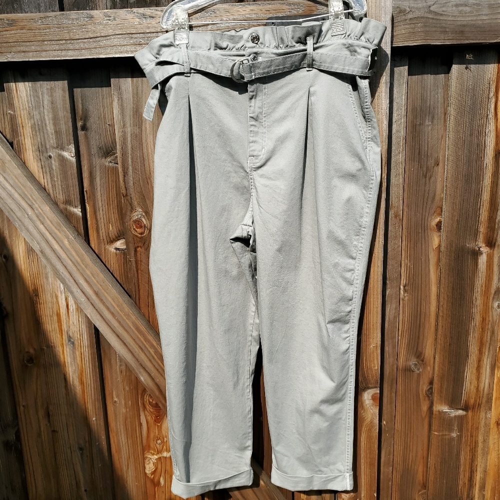 Wild fable paperbag gray canvas ankle  pants sz 18